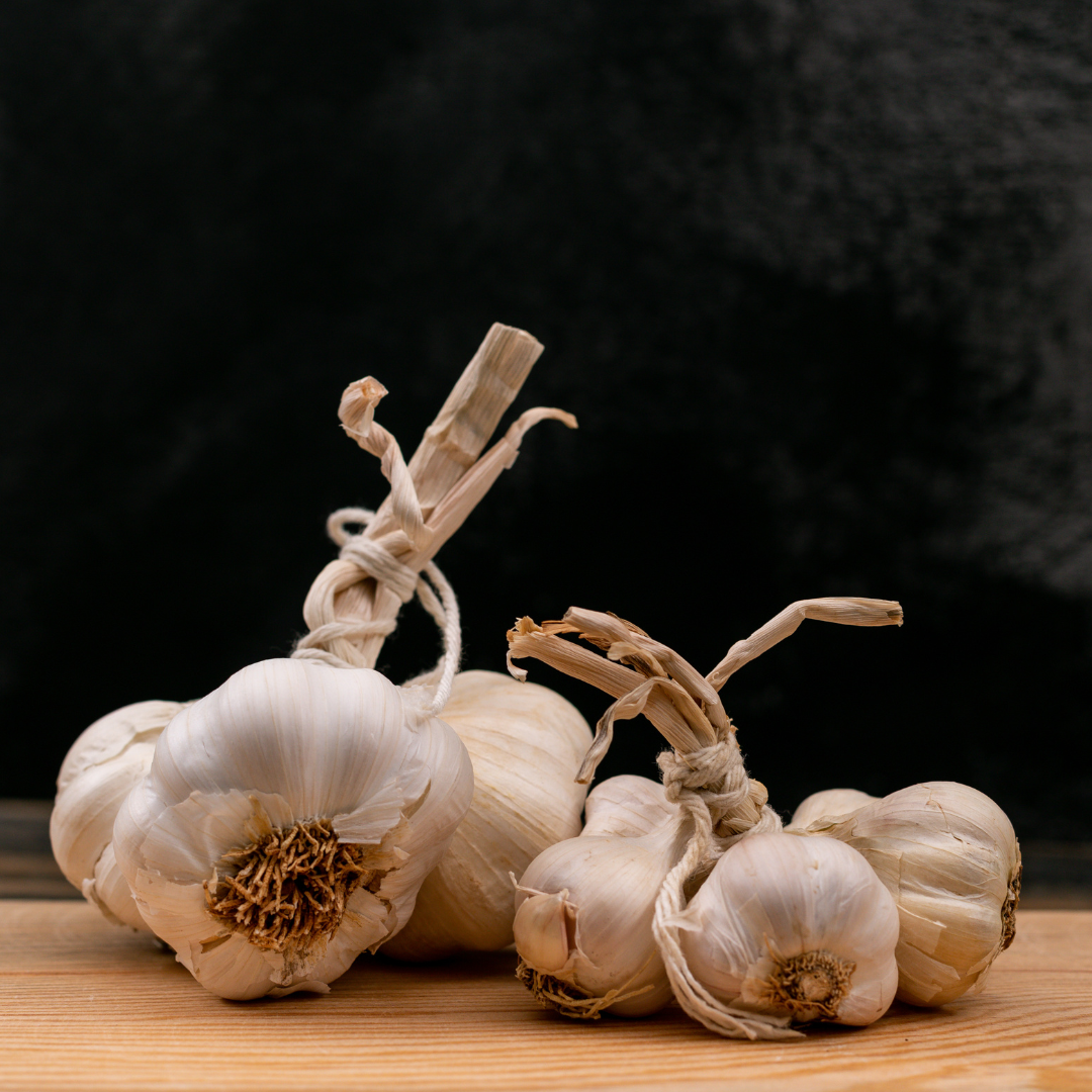 Garlic