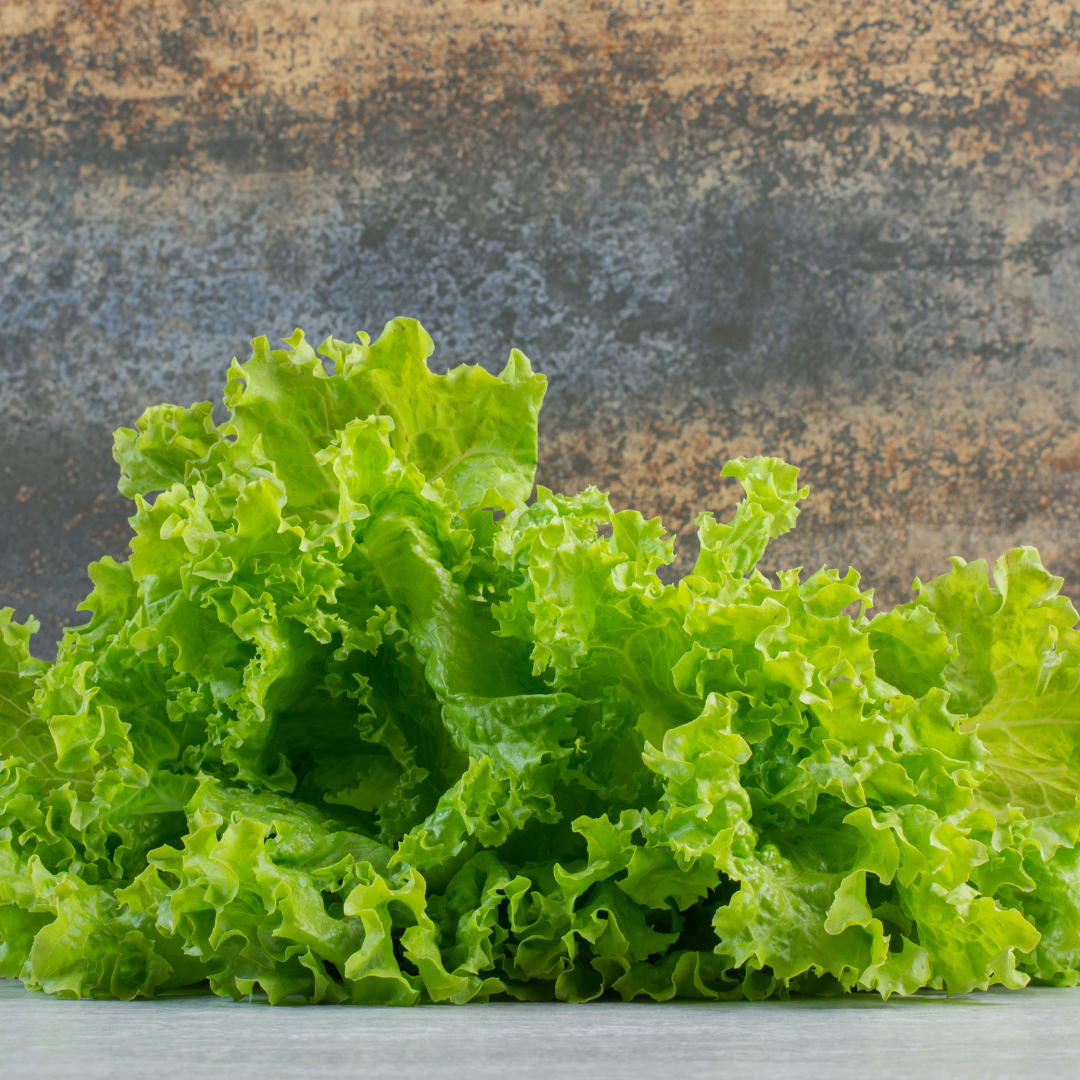 Lettuce