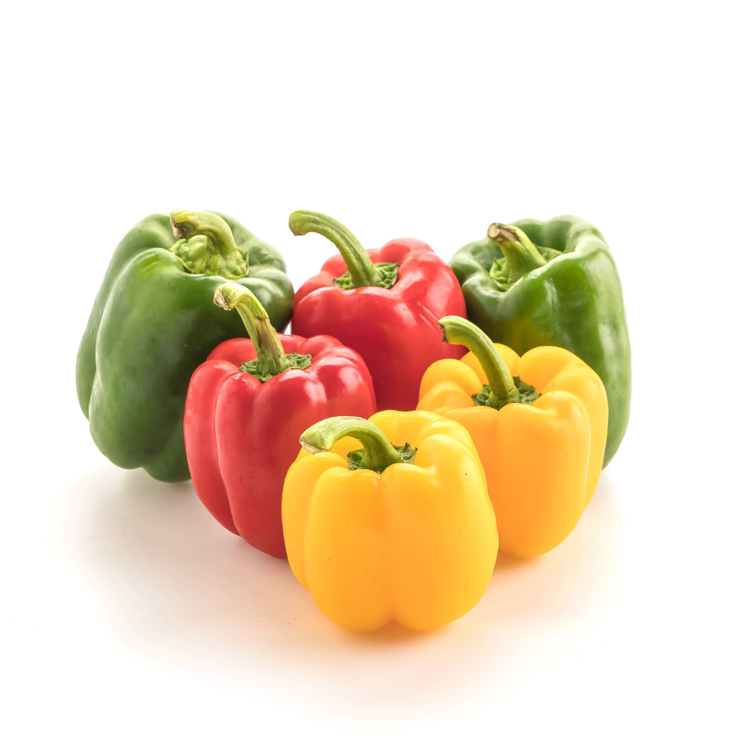 Capsicum