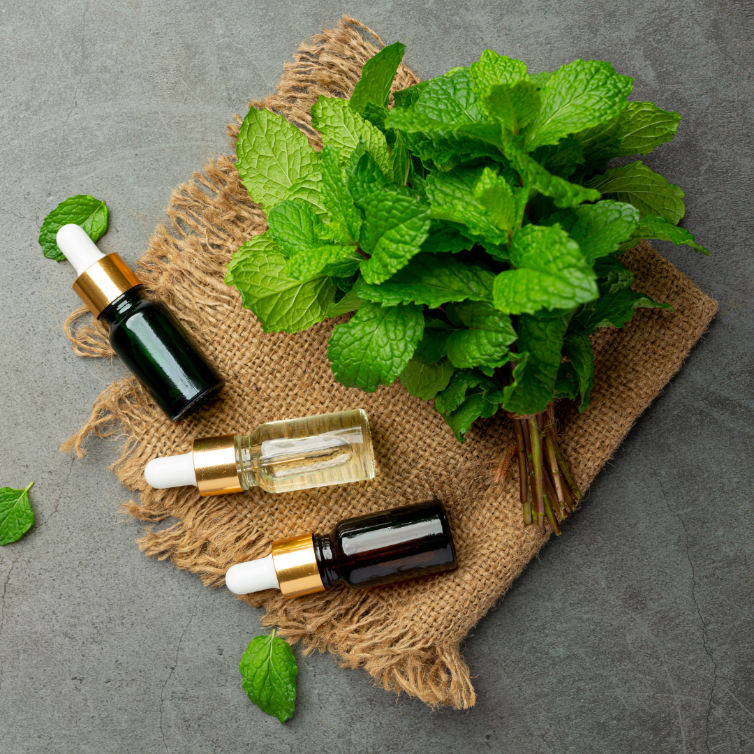 Mentha Oil