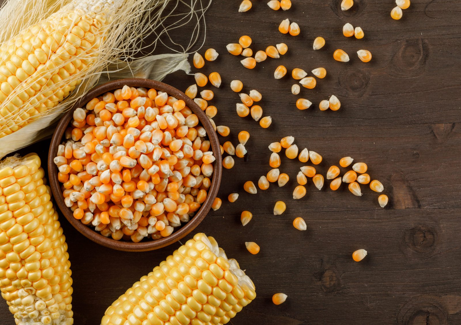 Corn grains in a clay plate with cobs flat lay on a wooden background